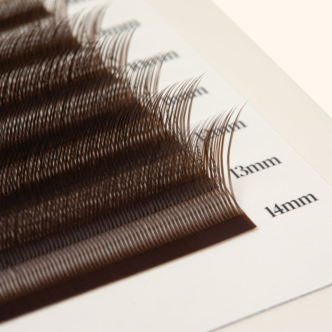 Kittenwimpers - Bruin