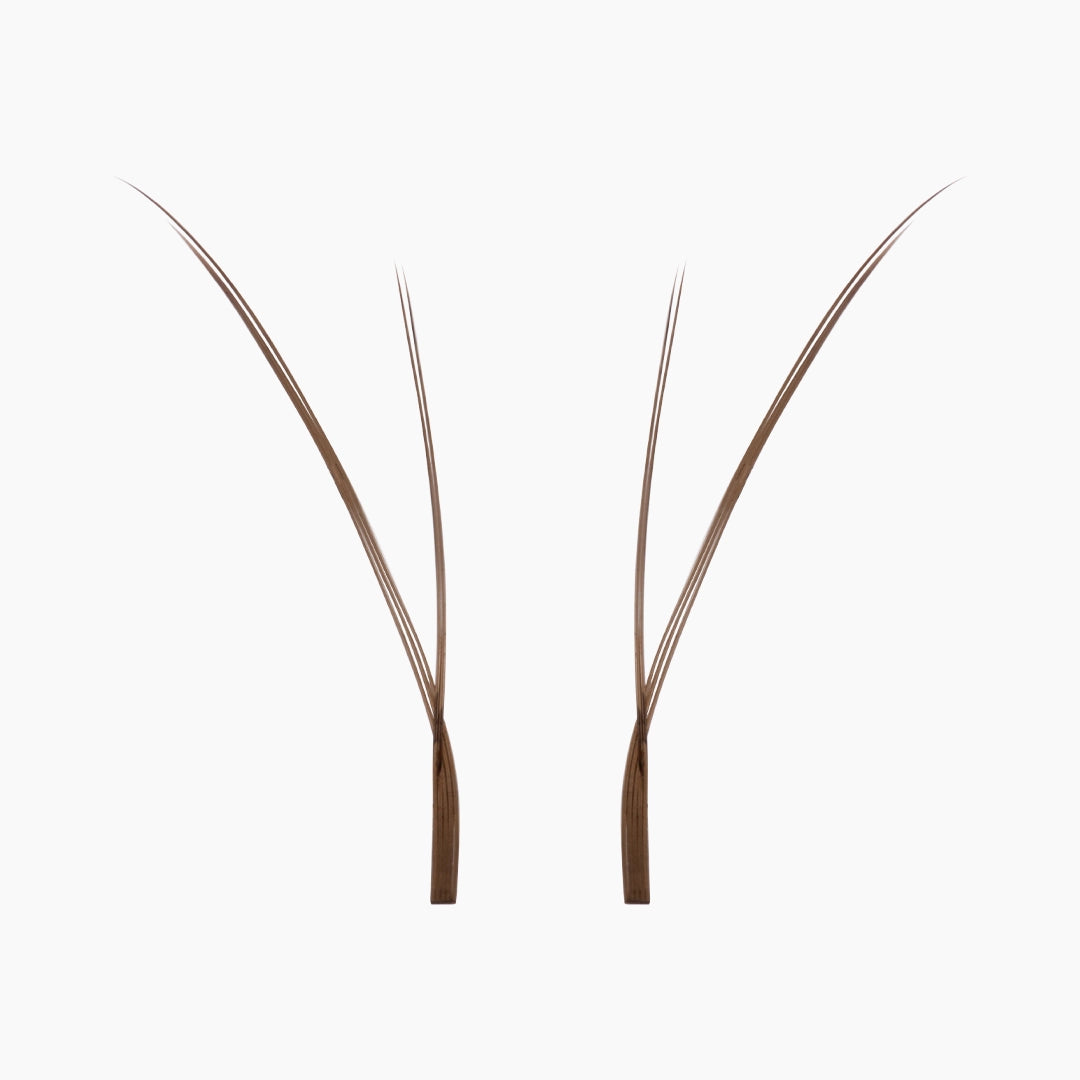 Two individual brown Kitten Lash extension fans on a white background, showing their slim bases and soft, flared tips.