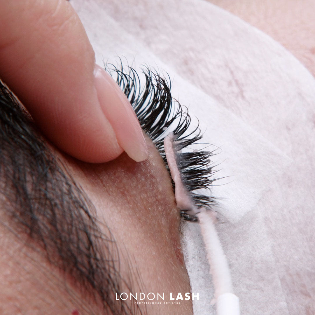 Lash Knowledge Builder: Klassiek, hybride en snel volume