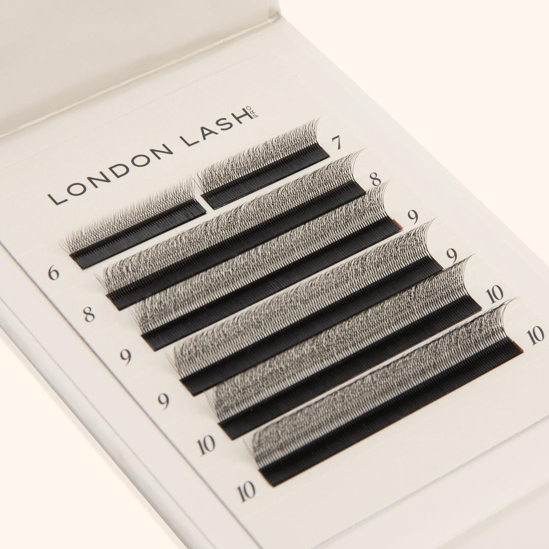 SpeedYY wimpers - 4DW