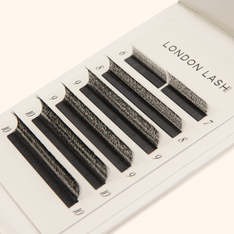 SpeedYY wimpers - 4DW