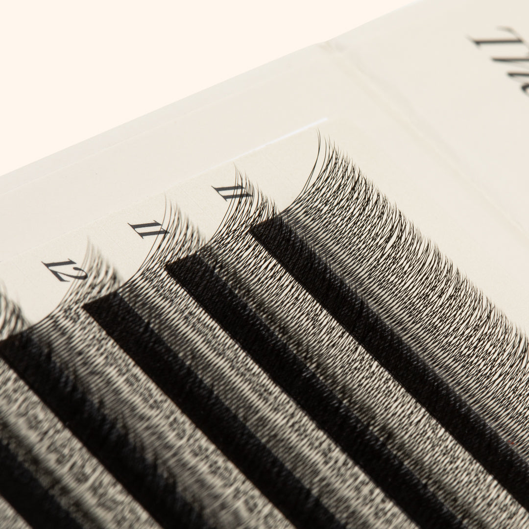 SpeedYY wimpers - 3DW