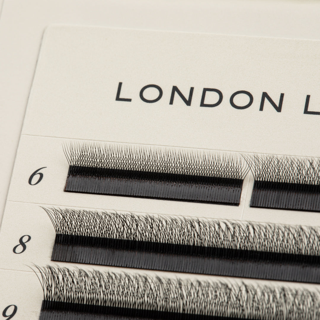 SpeedYY wimpers - 4DW