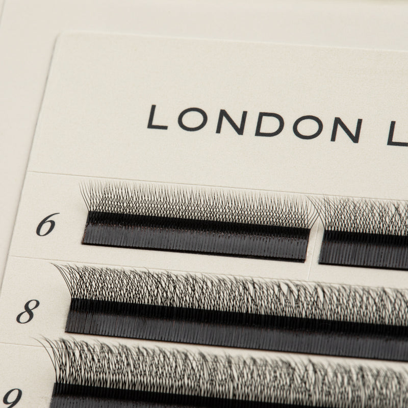 SpeedYY wimpers - 4DW