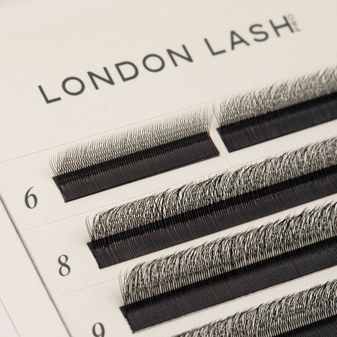 SpeedYY wimpers - 4DW