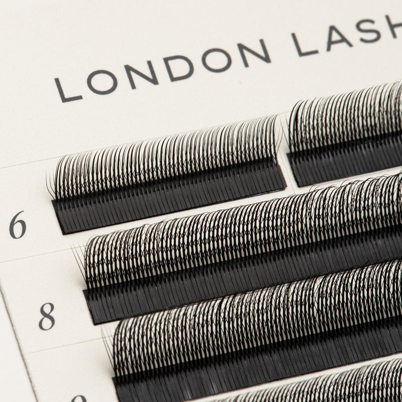 SpeedYY Wimpers - 3DW met Spike