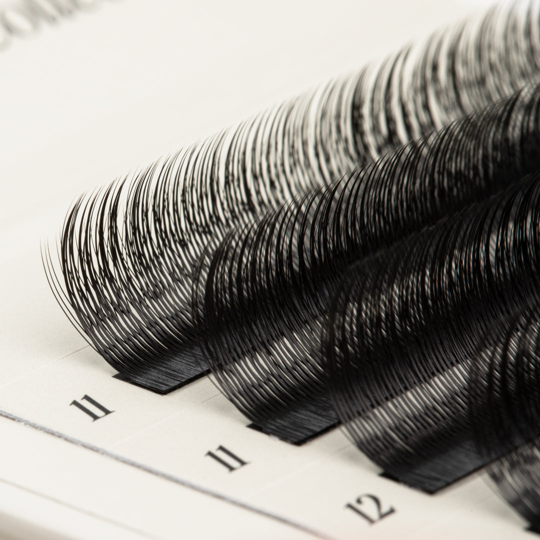 SpeedYY Wimpers - 3DW met Spike