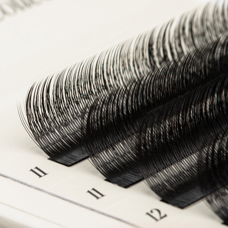 SpeedYY Wimpers - 3DW met Spike